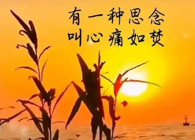 _思念人的一句话_思念人的短句