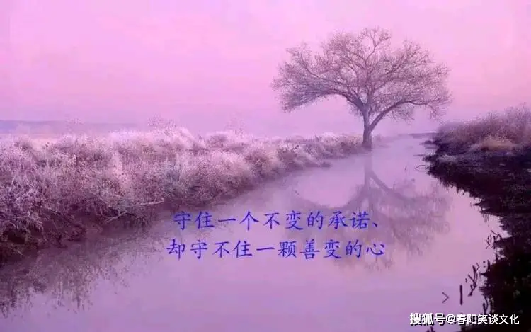 失望语录简短_失望伤心短句_