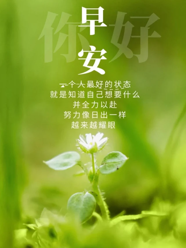 朋友圈唯美早安语__朋友圈早安唯美语录