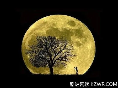 _惊艳眼球的句子_一眼令人惊艳的句子