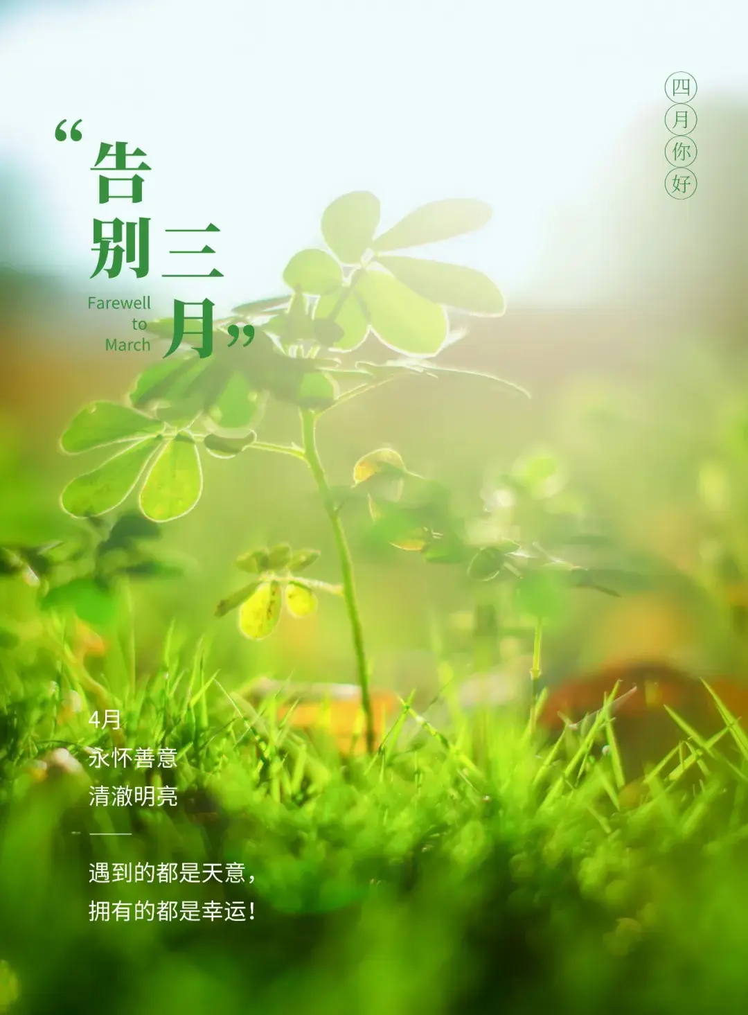 文案句子温柔_文案精选句温柔走心月光_