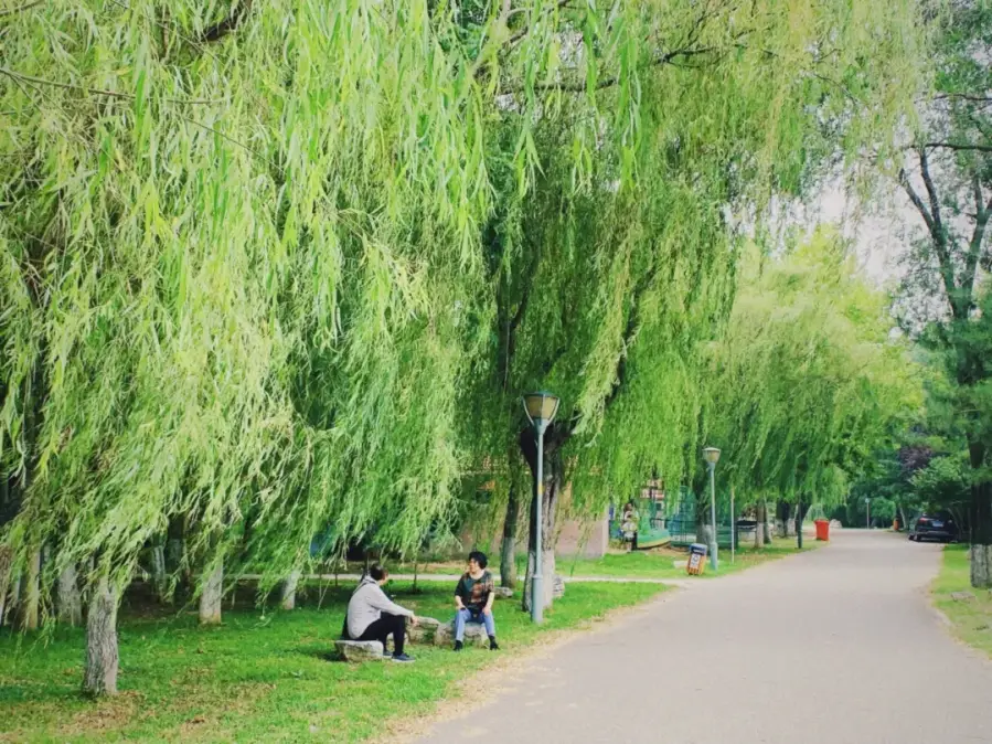 小众高级朋友圈文案_查文案重复率_