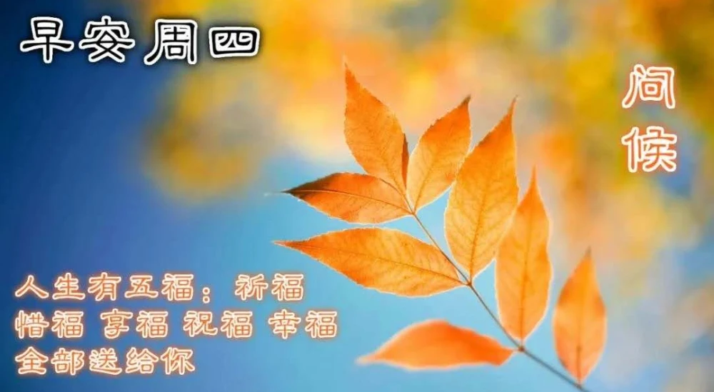早上能量的句子_早上能量语和图片_