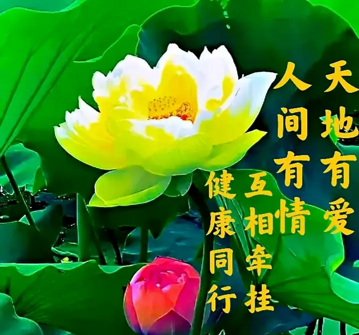 _深情情话文案_深情的话朋友圈说说
