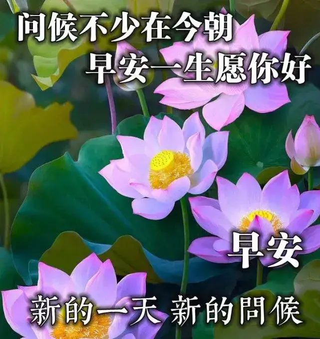 唯美暖心的短句__唯美暖心的句子