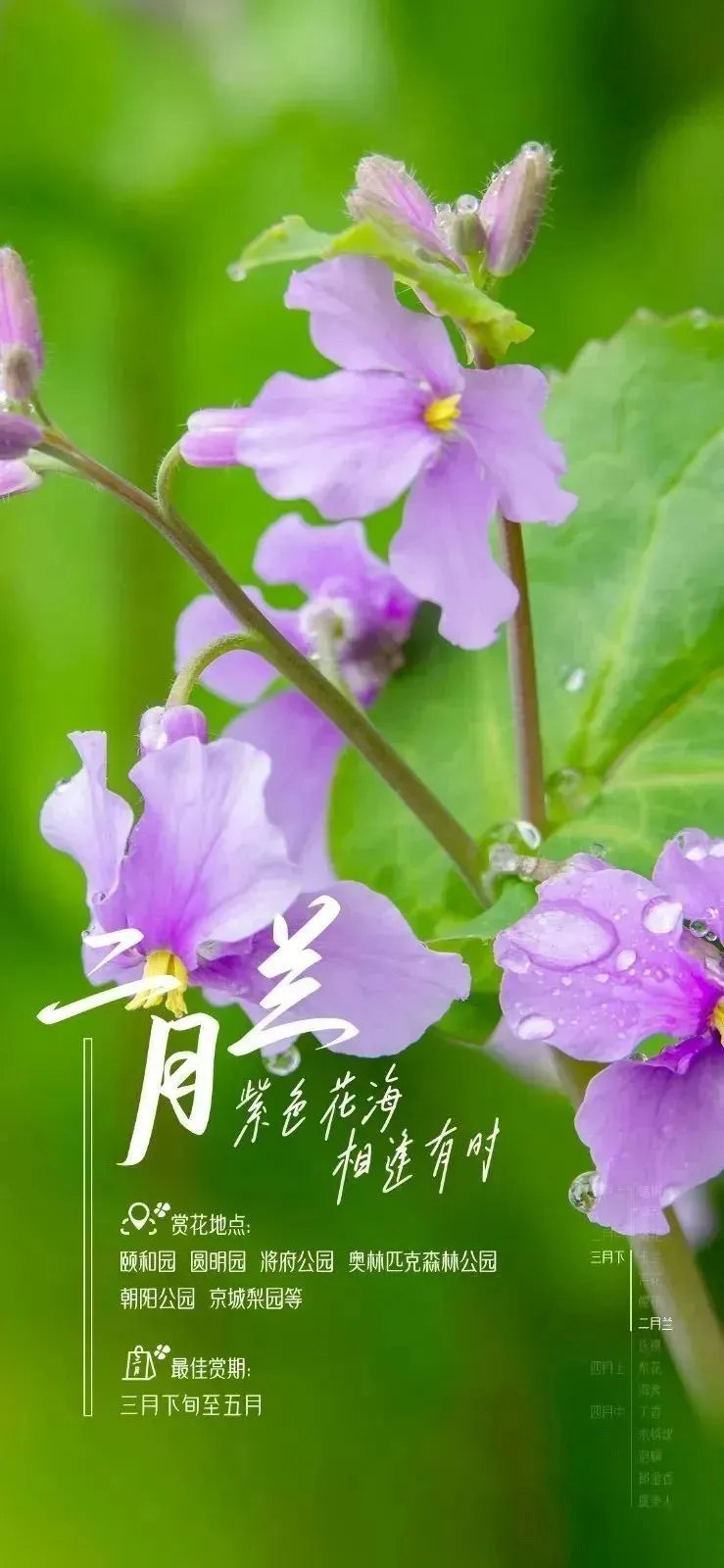 说些甜蜜的话_甜言蜜语说句话_