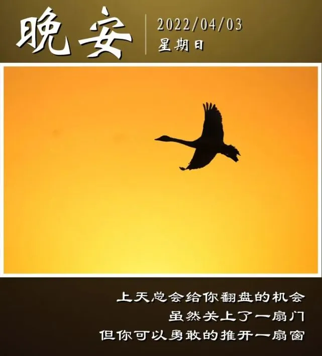 精选暖句句子晚安温柔心情_精选暖句句子晚安温柔心静_